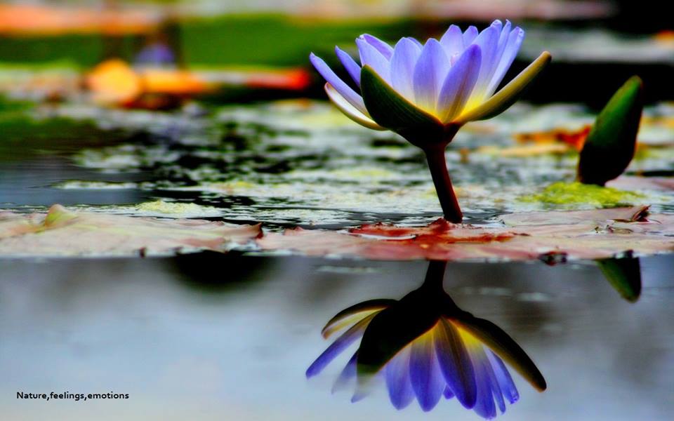 Be a reflection of what you'd like to see in others!