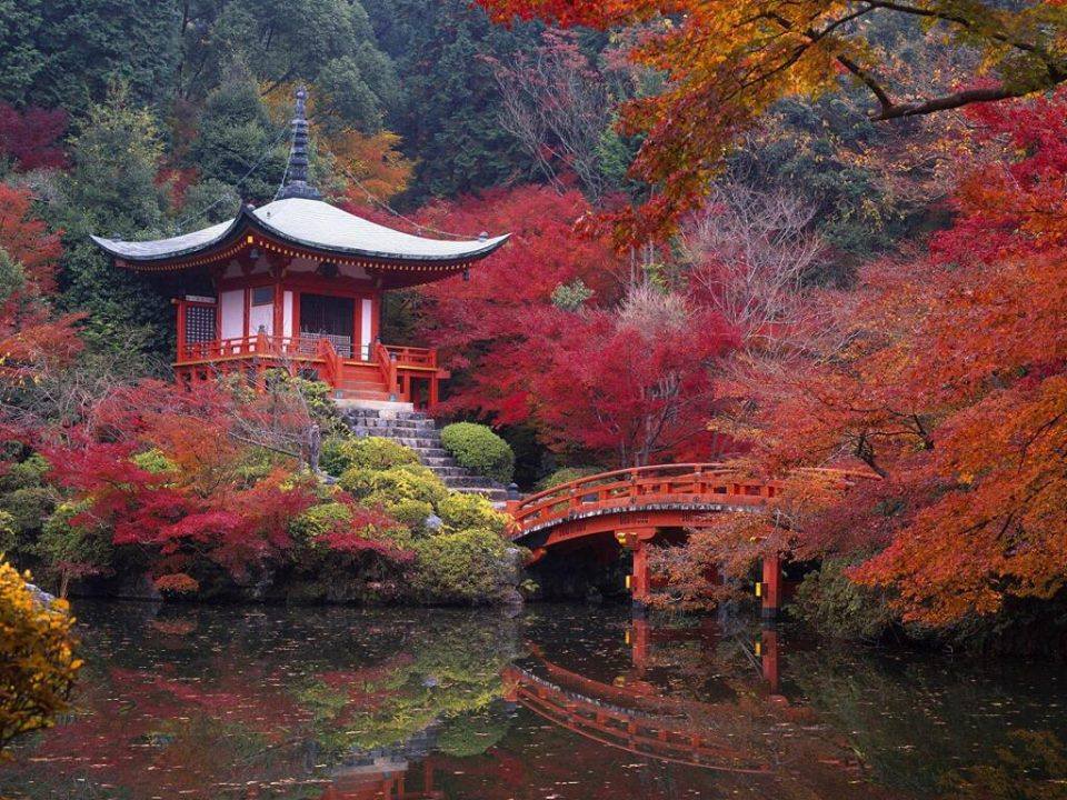 Fascination on its high Daigo-ji Temple, Japan