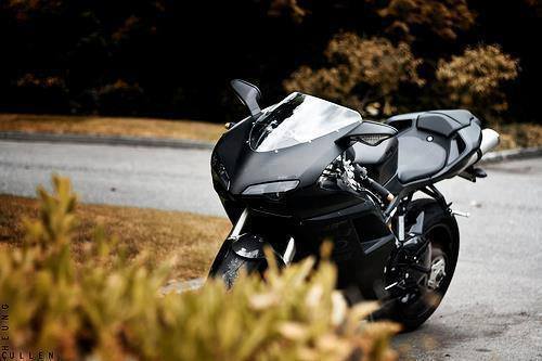 Killer Ducati