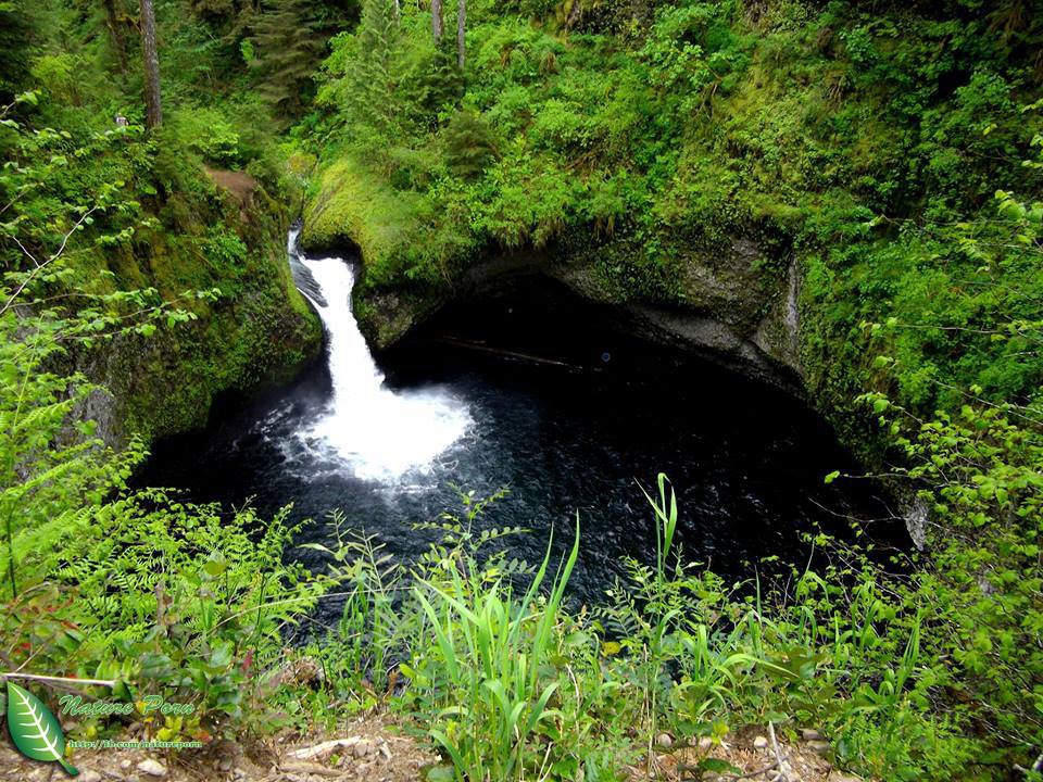 Punch Bowl Falls, Oregon, USA.