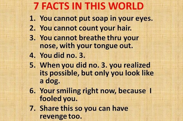 7-facts-in-this-world