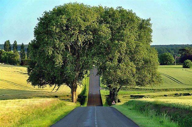 Country Road, Loire, France!
