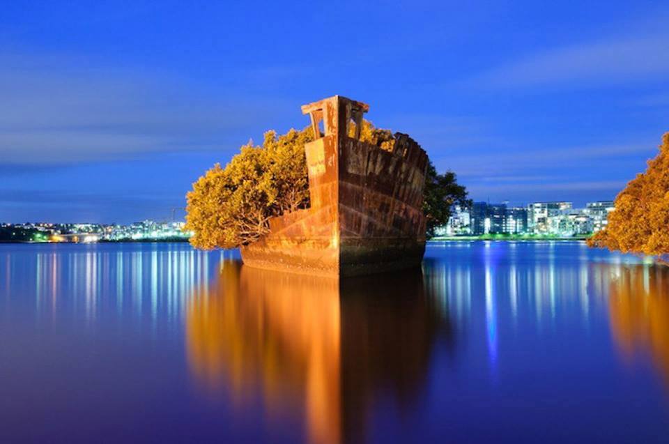 Floating Forest, Homebush Bay, Sydney