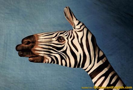 amazing-animal-art-zebra