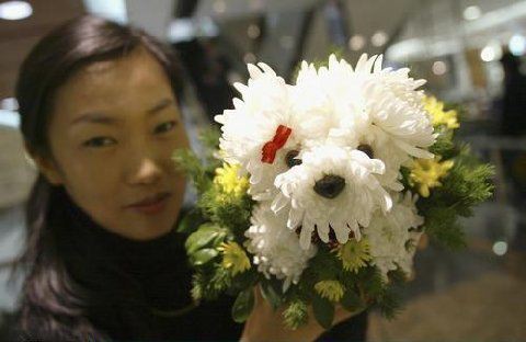 cute_flower1