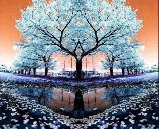 ღ.,.Fairy Land.,.ღ