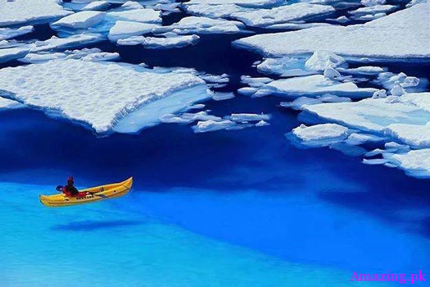 Floating in Blue, Glacier Bay, Alaska