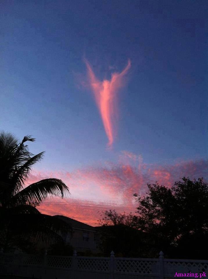 Interesting cirrus cloud formation over Palm Beach, FL.