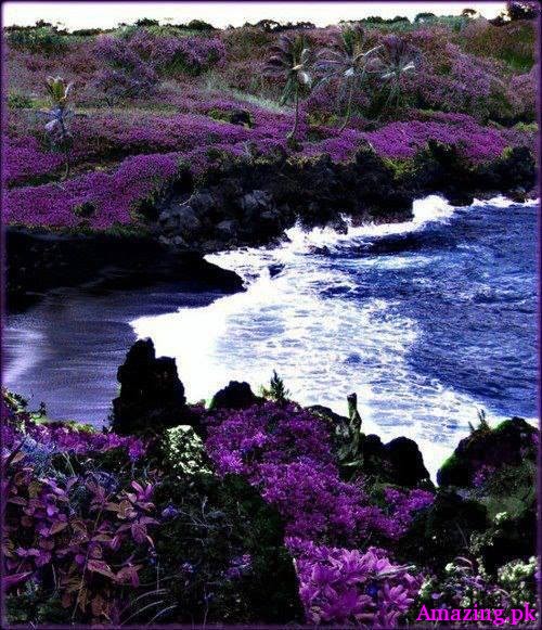 Black sand beach, Hawaii.