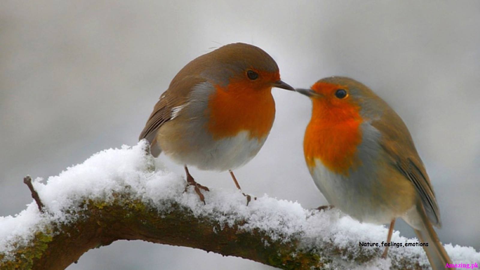It's a blessing to love, it's a blessing to have someone to love, and its a major blessing to get the same love in return.