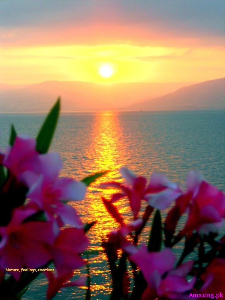 Live in the moment. Forget the past and don't concern yourself with the future.