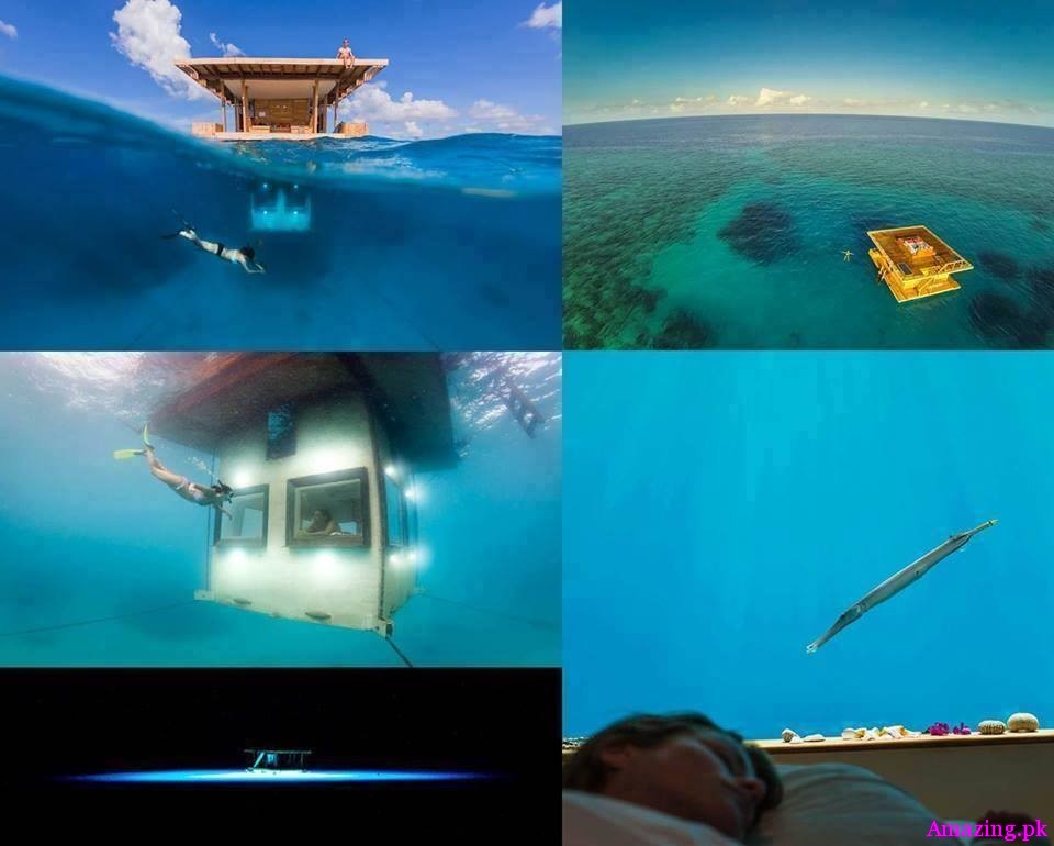 You Can Now Stay at an Underwater , Hotel Room and Sleep with the Fishes, at the Manta Resort On the island of Pemba
