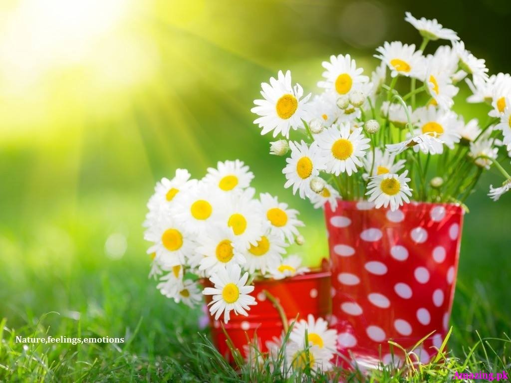 God gave us two gifts One is choice and the other is chance The choice of a good life and the chance to make it the best